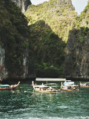 14-Day Ultimate Vietnam Plant Based Experience