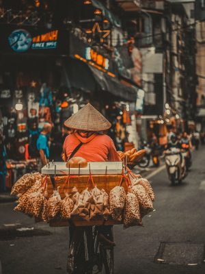 8 Day North Vietnam Plant Based Journey: Hanoi - Halong - Ninh Binh - Pu Luong